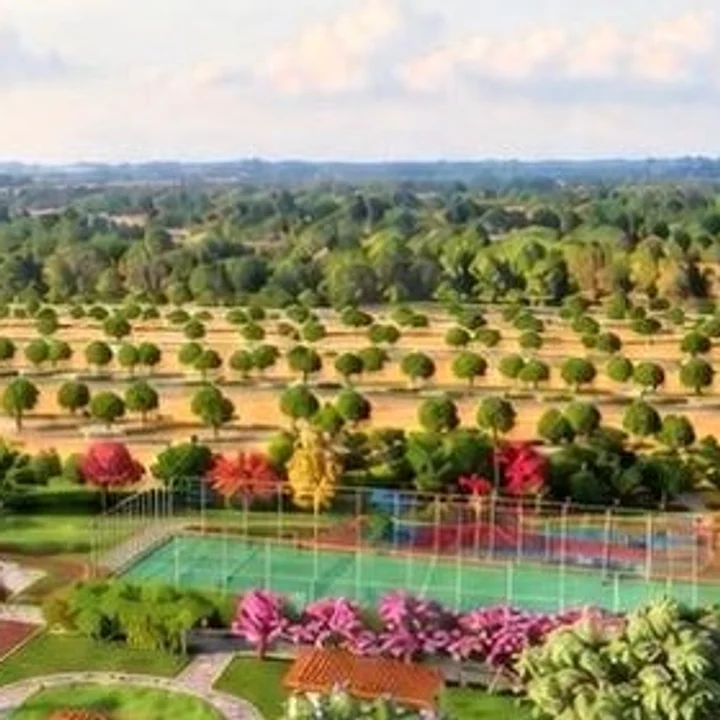 Open ground beyond the garden, plantation-style trees running to the horizon Open ground beyond the garden, plantation-style trees running to the horizon